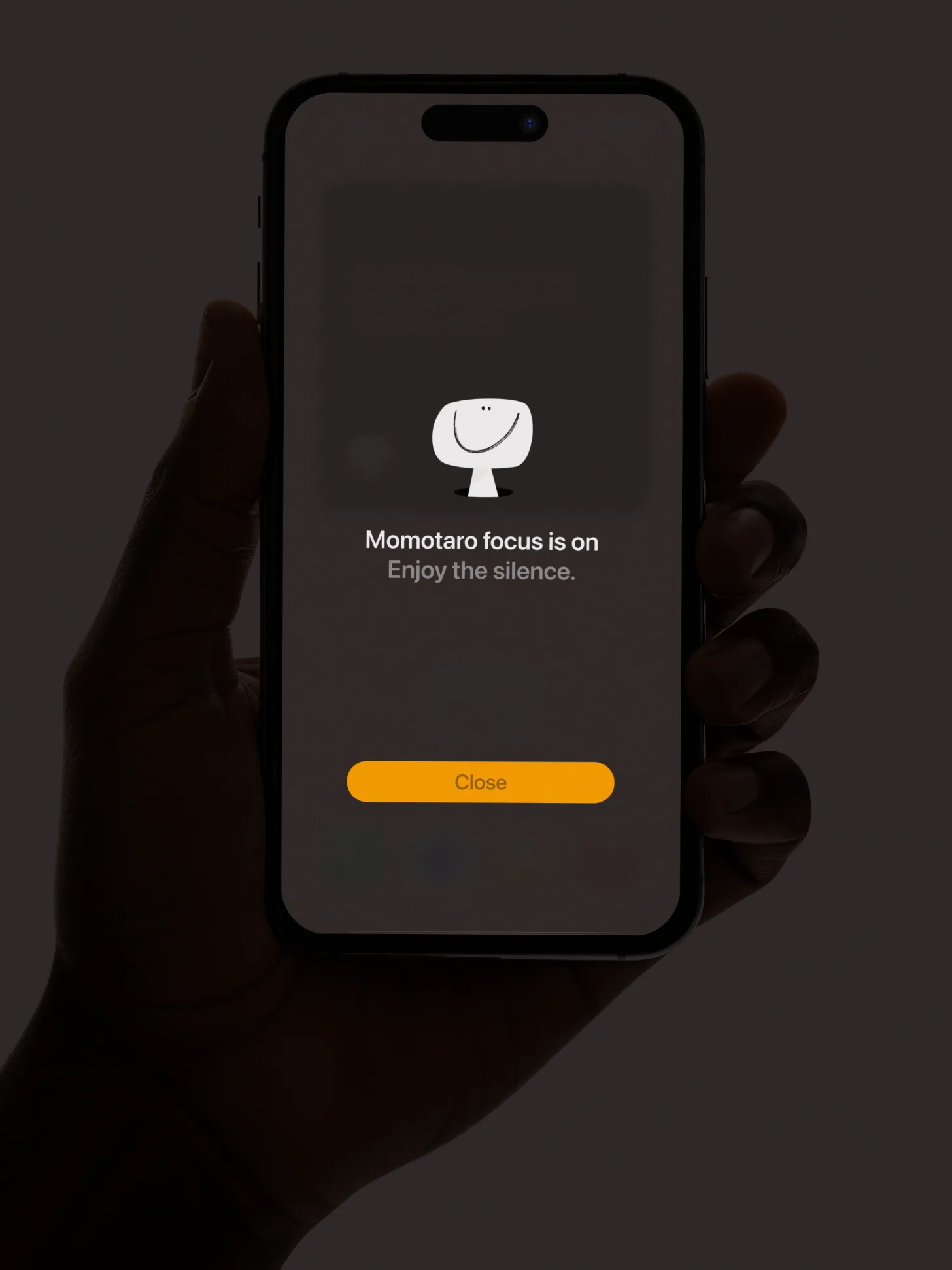 Momotaro — customization right 05