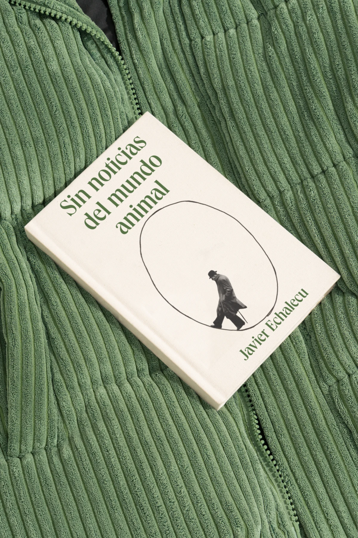 Sin noticias del mundo animal — Javier Echalecu. Book cover with a figure walking through an oval portal.